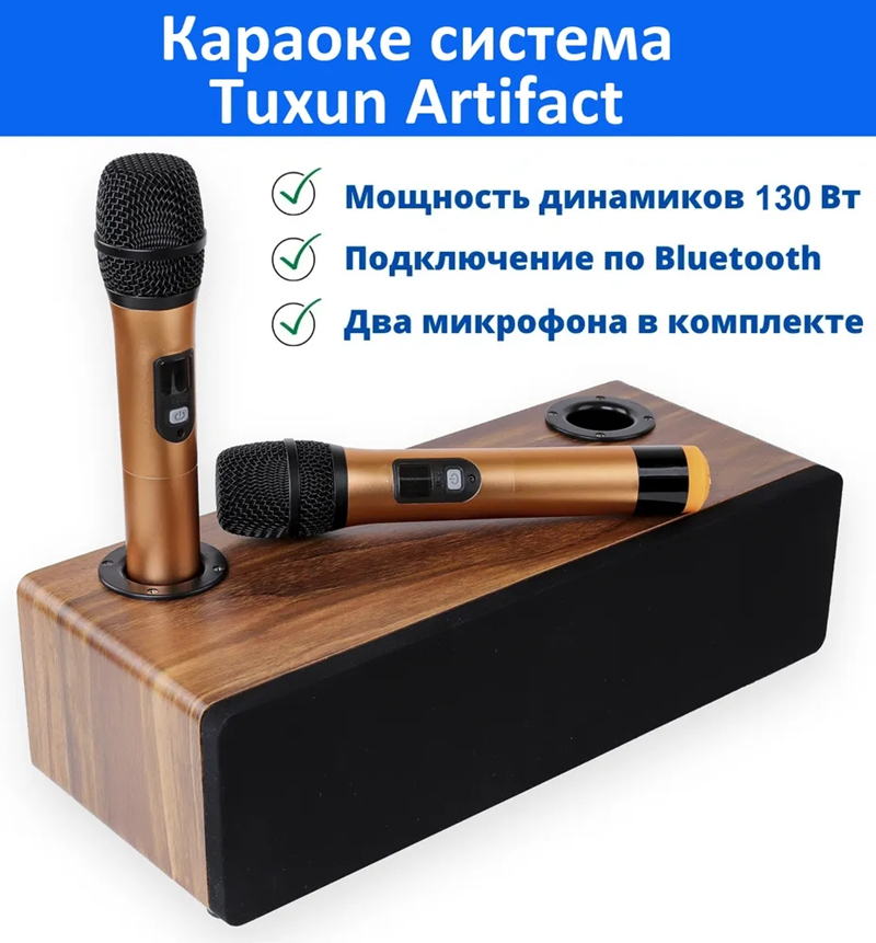 Home Cinema Audio System - Professional Karaoke Wireless Microphon System Audio