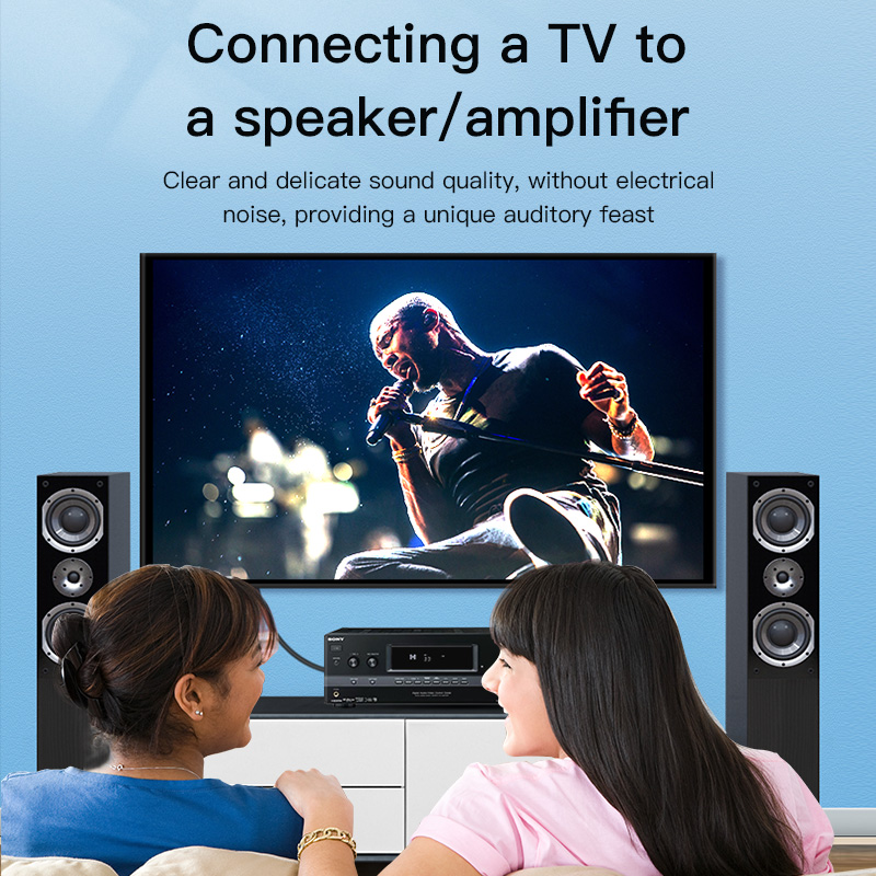 Cabo RCA Choseal, Cabo de Áudi - Home Cinema Ampli avaliação e preço